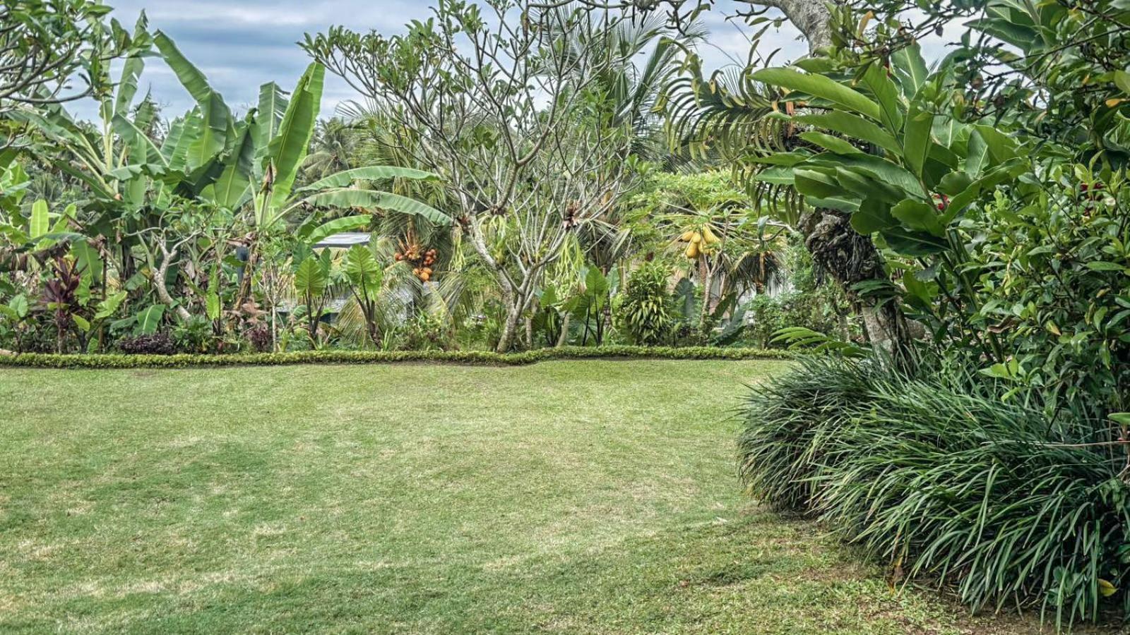 Dlobong Suite Ubud Екстериор снимка